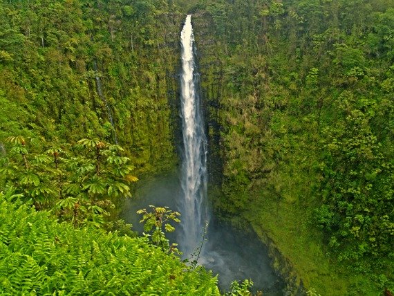 Akaka Falls 