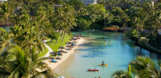 Bite Size Wellness Tranquil Travel Hilton Hawaii