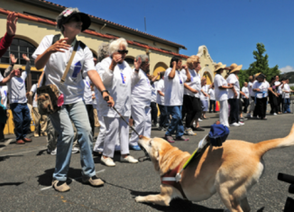Senior Citizen Zumba Flash Mob