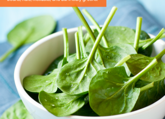 daily bite wellness tip more iron