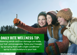 daily bite wellness tip winter hair