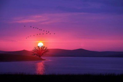 Optimism in 2014 Mental floss