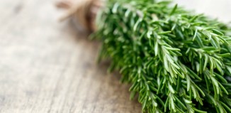 Daily Bite Wellness Tip - Smell Rosemary for Energy - Featured Image