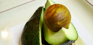 Daily Bite Wellness Tip - Avocado for Dry Skin - Feature